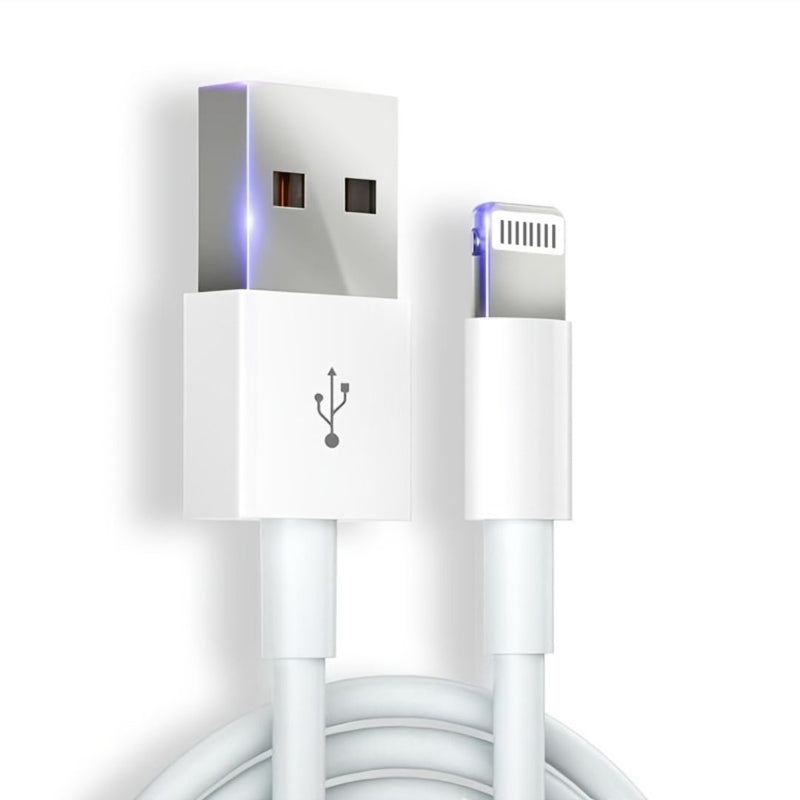 Cablu Incarcare si Transfer Date USB – Lightning Fast Charge,1m